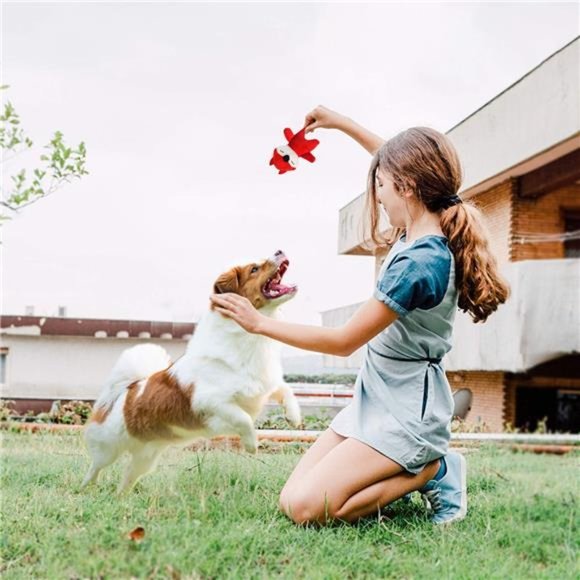 Squeaky Dog Toys for Puppy Small Medium Dogs, Stuffed Samll Dog Toys Bulk - Picture 7 of 7